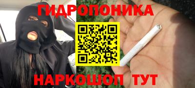 кокс Будённовск