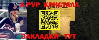 дмт Гай