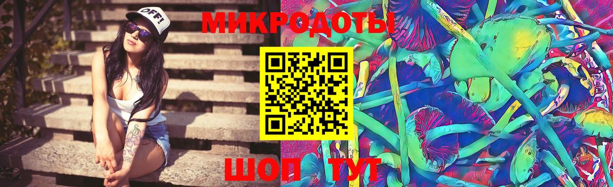 Псилоцибиновые грибы мицелий Озёрск